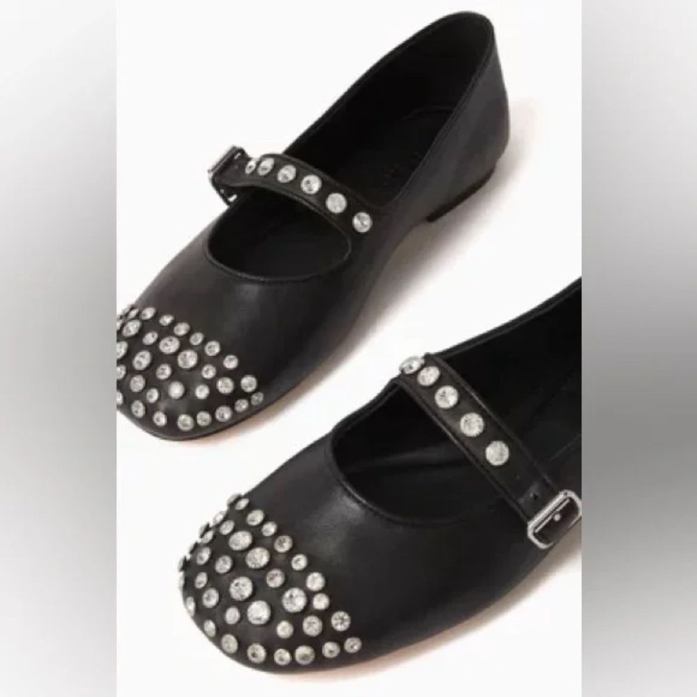 Salna Embellished Ballet Flats in Leather